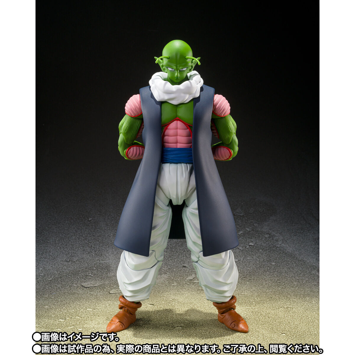 SH Figuarts Nail