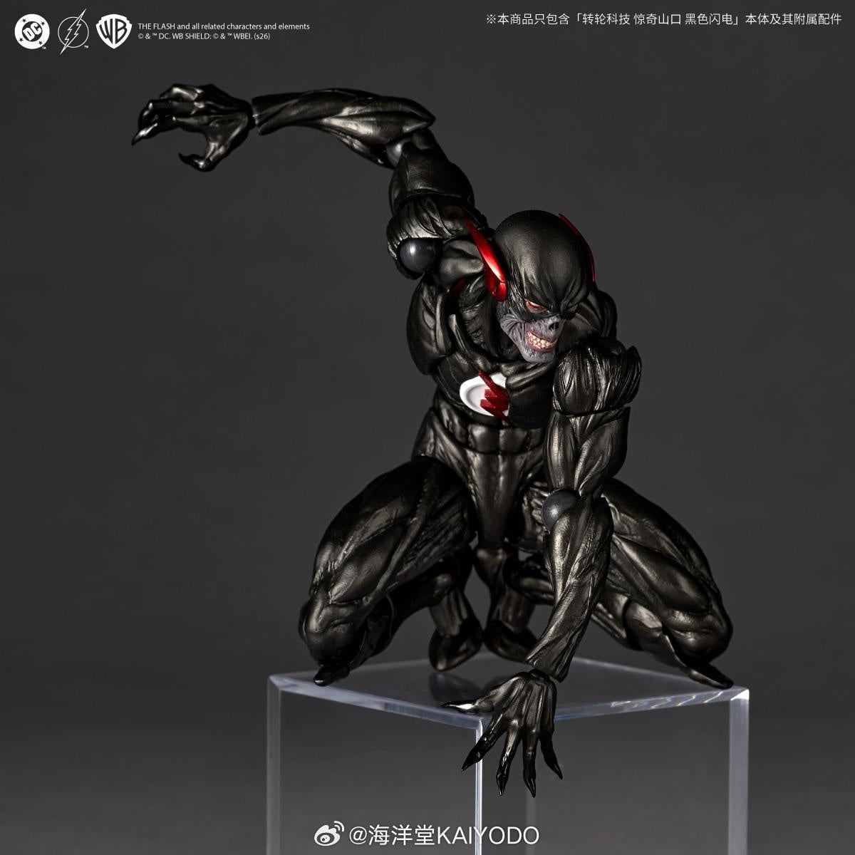 [PREORDER] Amazing Yamaguchi Black Flash